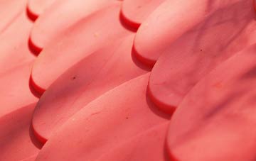 Beardwood plastic roof costs